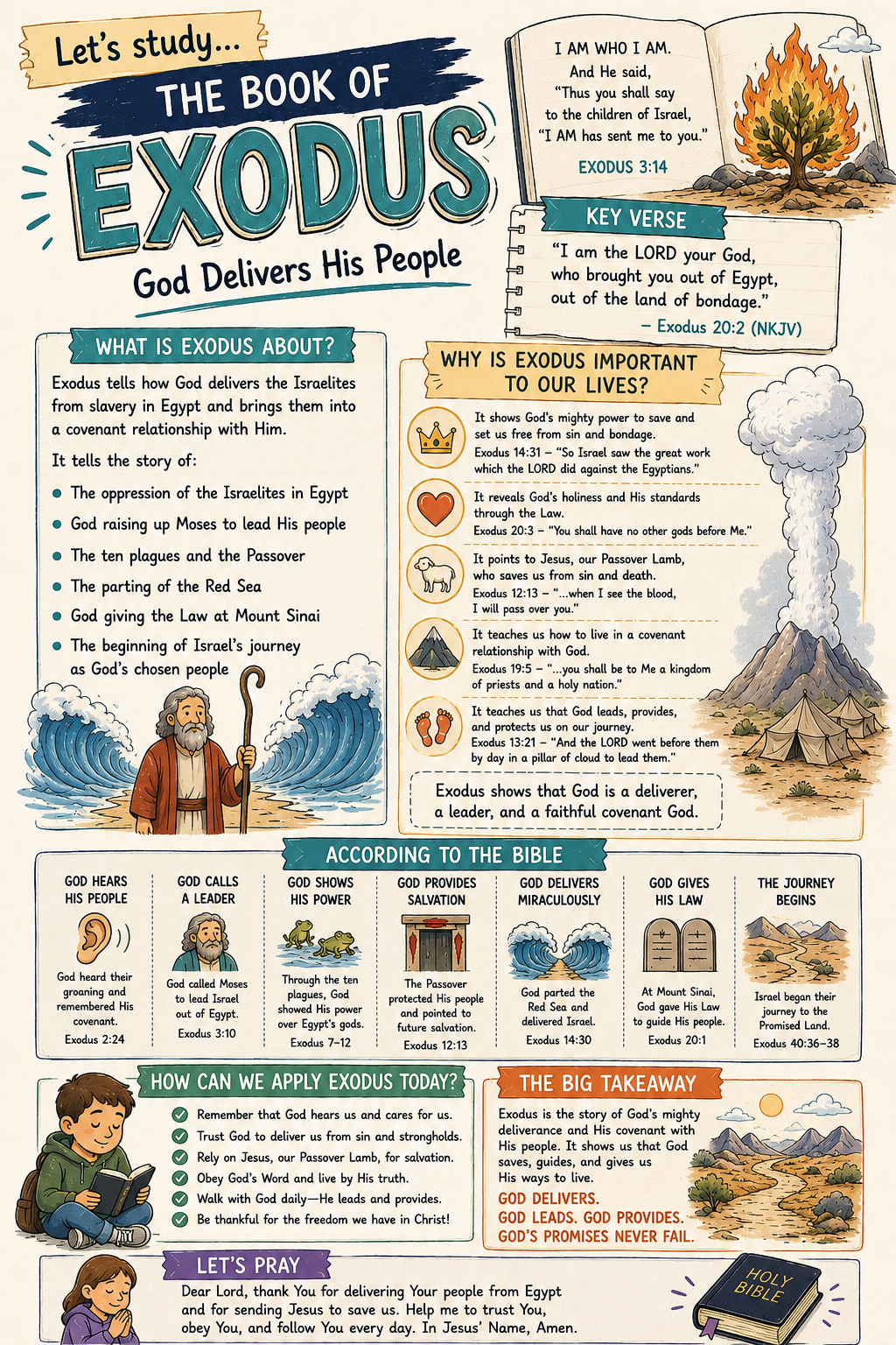Bible Tip-ins (The 5 Books of the LAW)