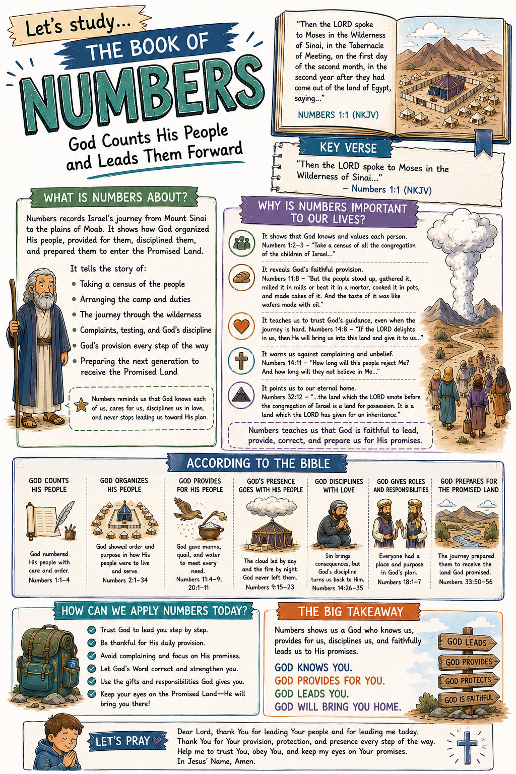 Bible Tip-ins (The 5 Books of the LAW)